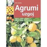 Agrumi uzgoj - Ukrasne i plodovite sorte