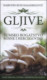 Gljive - šumsko bogatstvo Bosne i Hercegovine