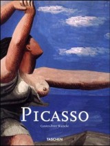 Picasso MS