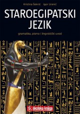 Staroegipatski jezik - Gramatika, pismo i lingvistički uvod