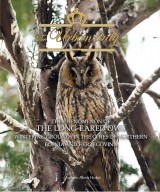 Urban Lady - The Phenomenon of the Long-Eared Owl Wintering Grounds in the Cities of Northern Bosnia and Herzegovina