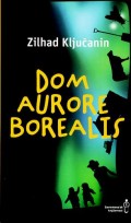 Dom Aurore Borealis