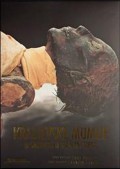 Kraljevske mumije