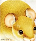 Slikovnice likovi životinja: Poljski miš