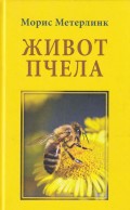 Život pčela