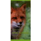 Lovac na lisice - Priručnik i vodič za lov na lisice