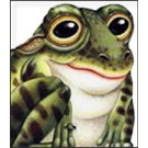 Žaba - slikovnice životinja